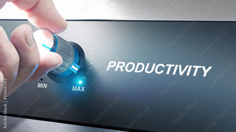 Productivity Management and Improvement